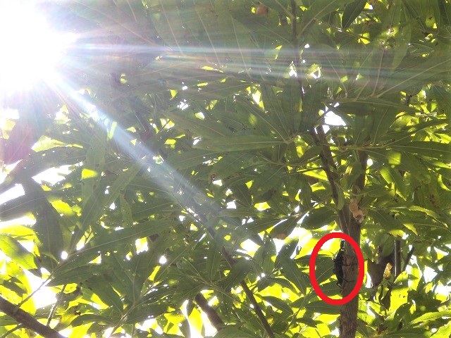 �q���I�I�y�A