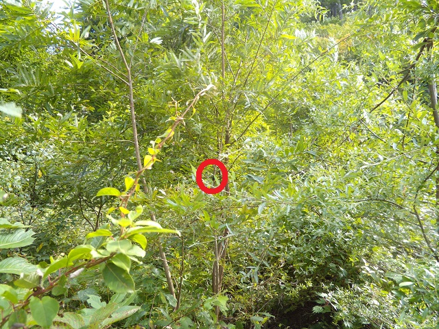 �q���I�I�y�A