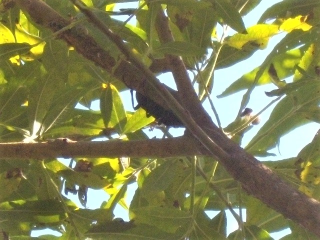 �q���I�I��