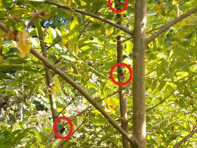 �q���I�I2���ƉE���X�W1��