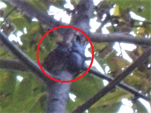 �q���I�I�y�A