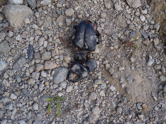 �q���I�I��瀎���