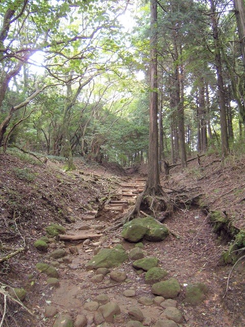 V̊Ki