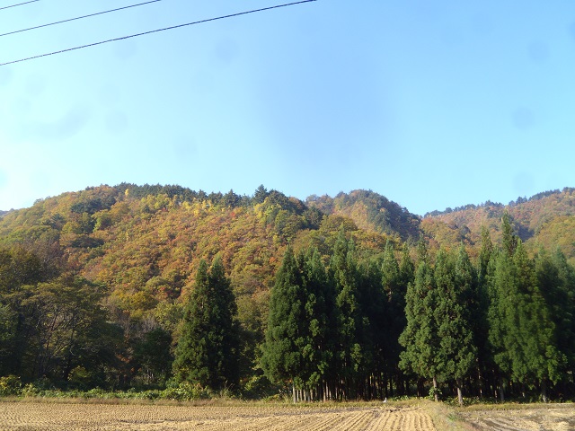 gt