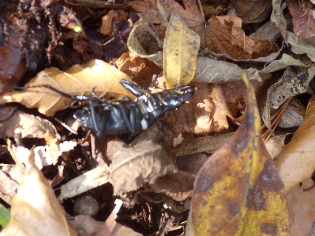 �q���I�I�����[