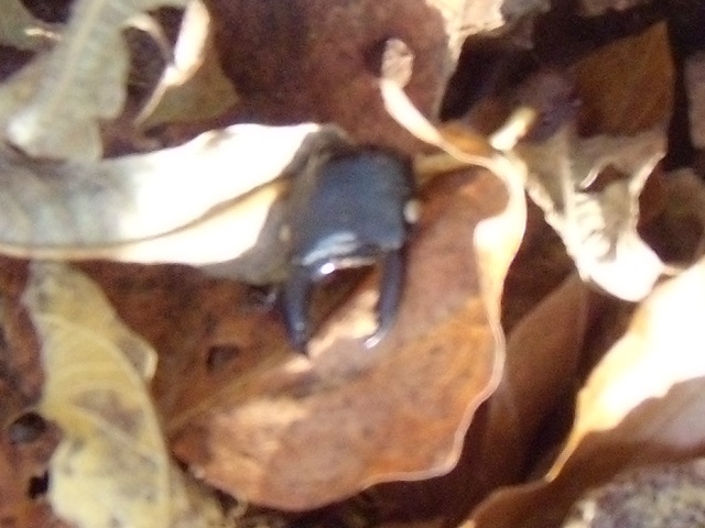 �A�J�A�V���������[