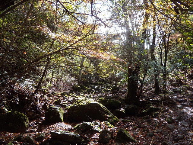 ��_�J����^^;