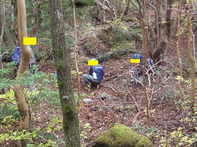 �W���j�[����E���������E�g���n(�e�B���m)����