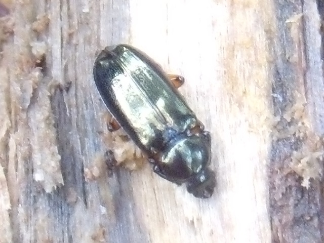 �z�\�c��������