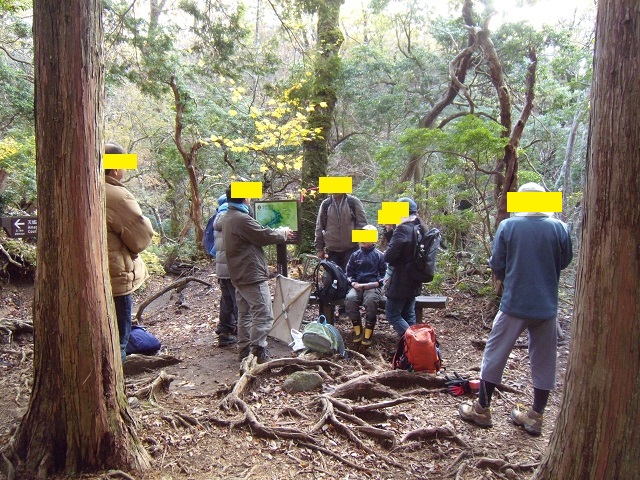 �S���̌��ʁ@�z�\�c��8���E�g�E�J�C�R����29���E�}�_��5���E�c�������ς�