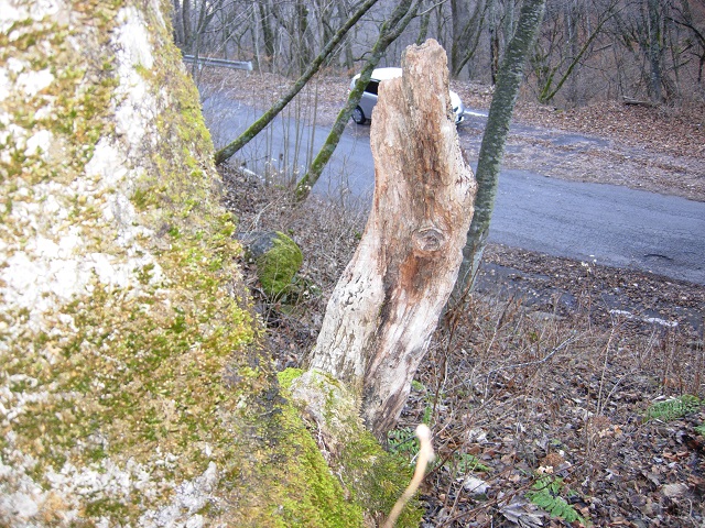 �͂�� behind hide����'s car