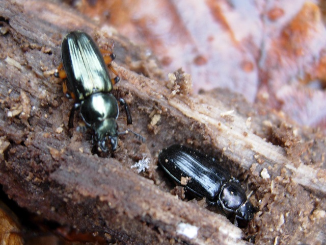 �����y�A