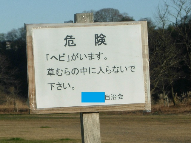 댯