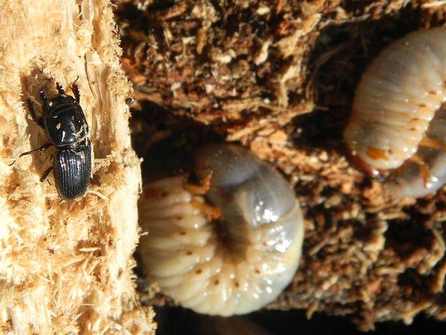 �`�r+�J�u�g�c��2��