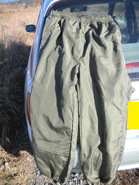 ���F�̃Y�{��