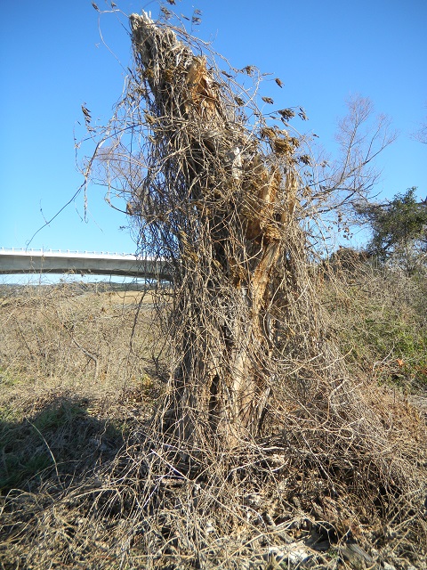 �����͂�