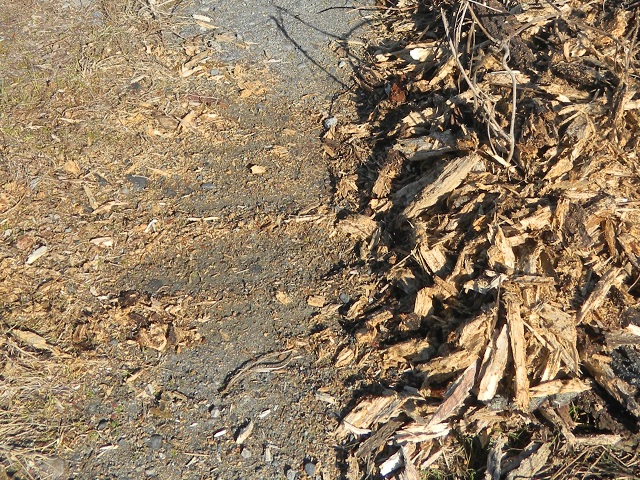 �ފ���͎ԓ��O�Ɋ񂹂�