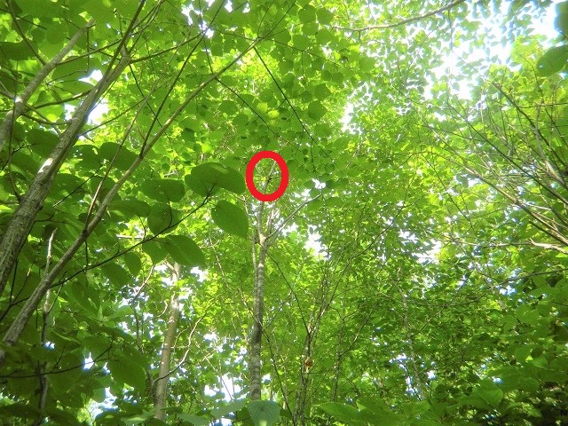 �q���I�I��