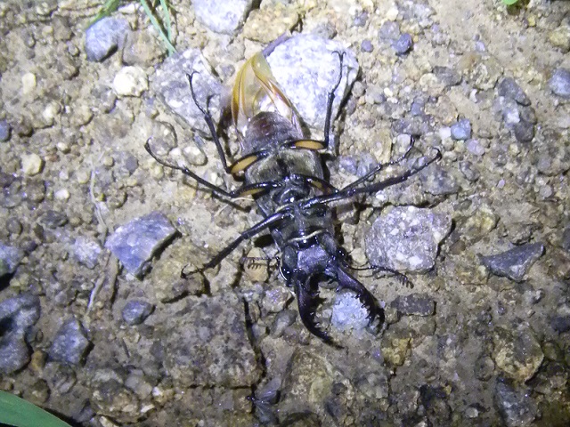 �~���}��