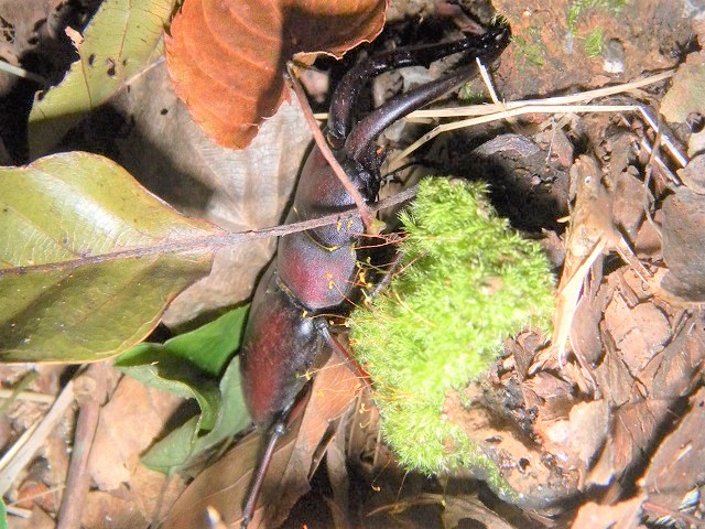 �m�R�M����