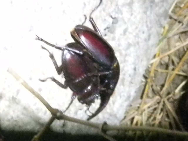 �m�R�M���y�A