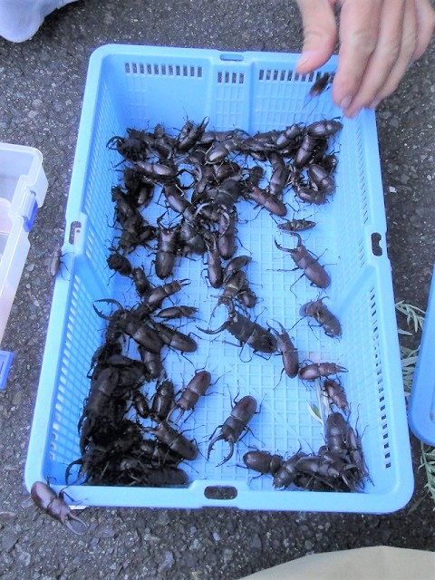 �m�R�M��x107��(�W���j�[���B�e)