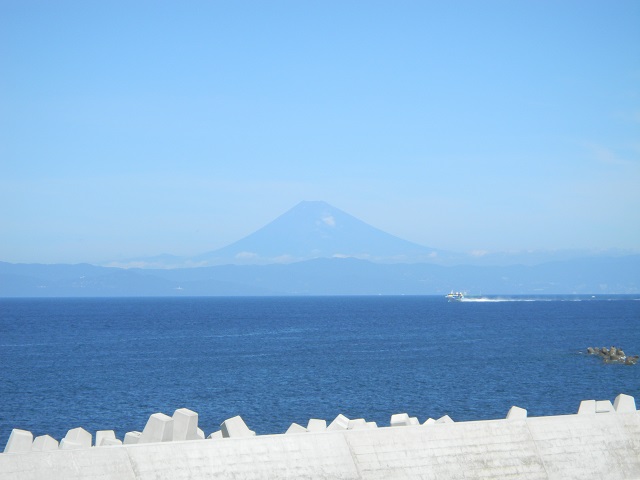 �ɓ�����^^;���猩���x�m�R