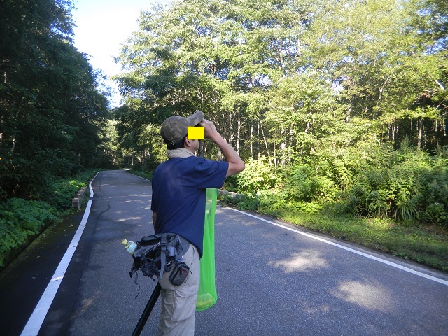 �q���I�I�͂��Ȃ����Ȃ�?���Ƒo�ዾ�ŒT�����񂳂�