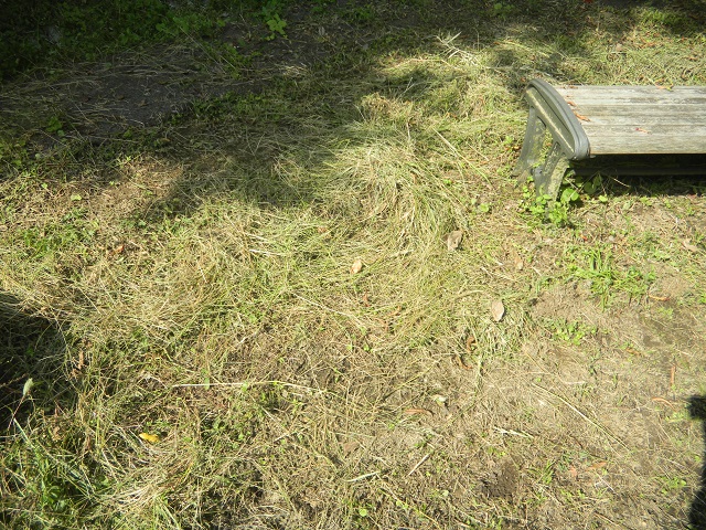 �R�R����ւ�