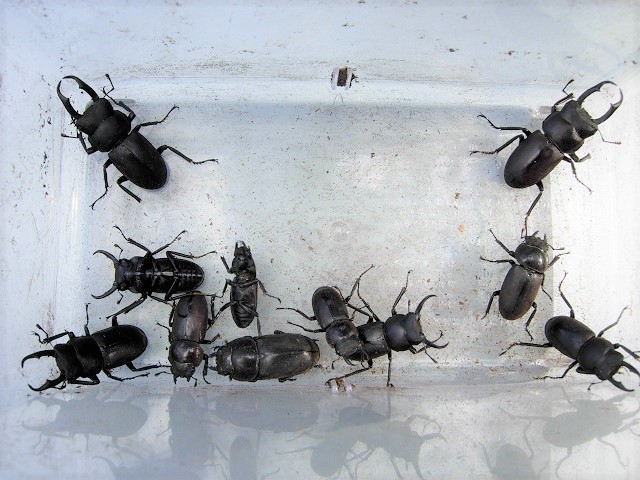 �S����-1��