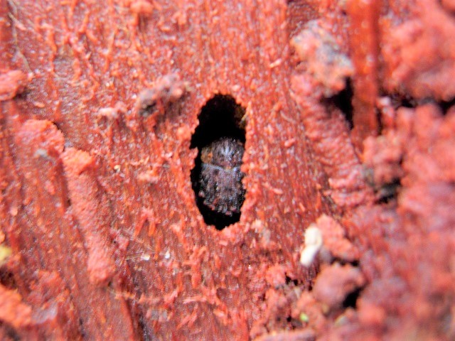 �}�_����