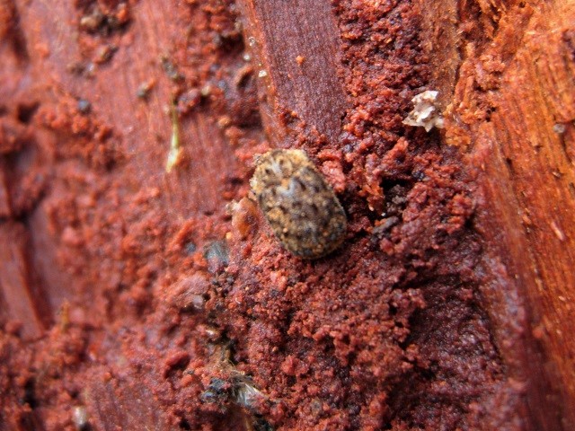 �}�_����