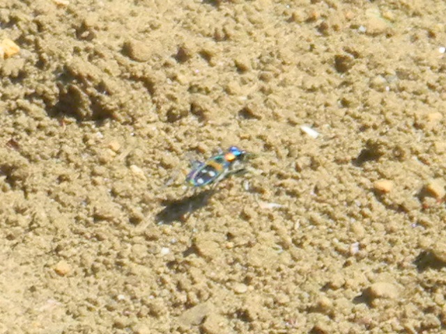 �n���~���E��