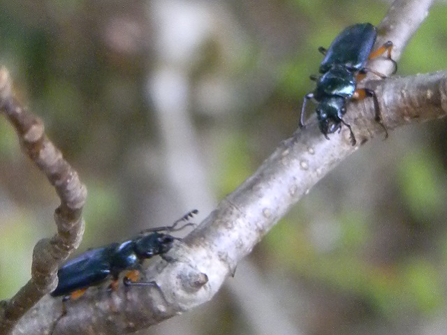 ���L�O�j�R����2��