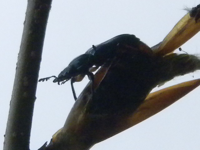 ���L�O�j�R������