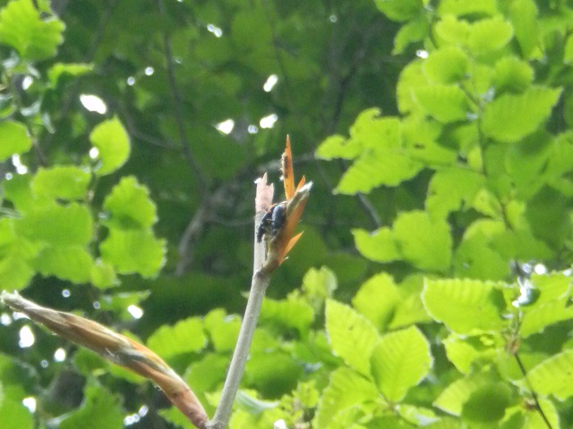 ���L�O�j�R�����y�A