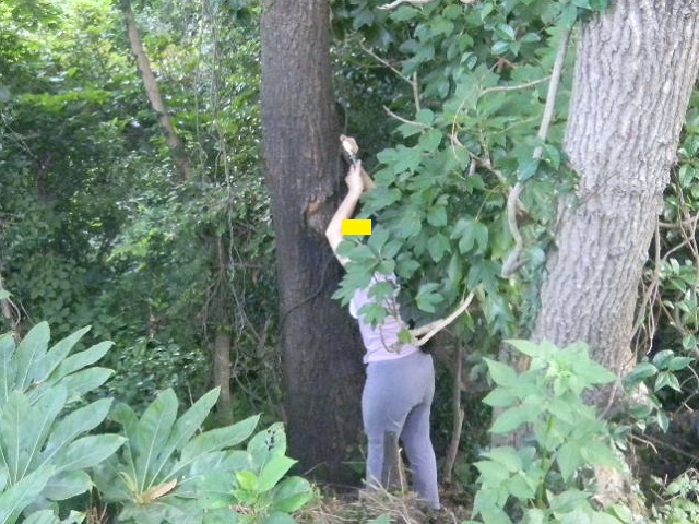 ���ɂ�����