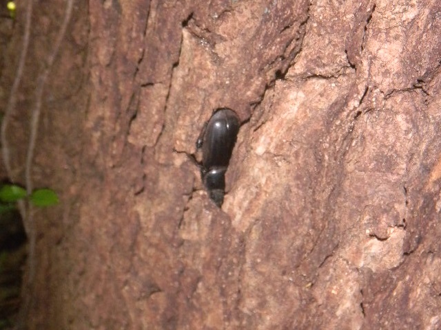 �q���^��=�����Z