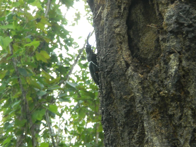 �~���}��