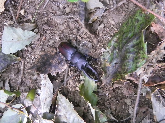 �m�R�M����