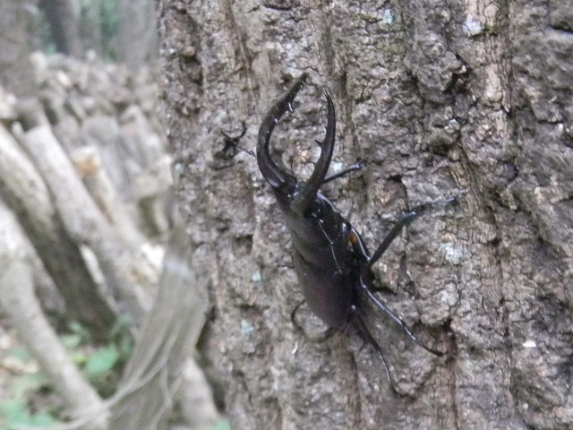 �m�R�M����