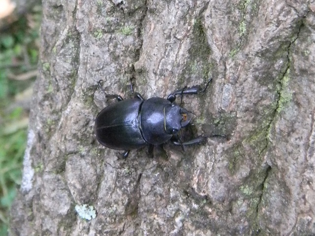 �m�R�M����