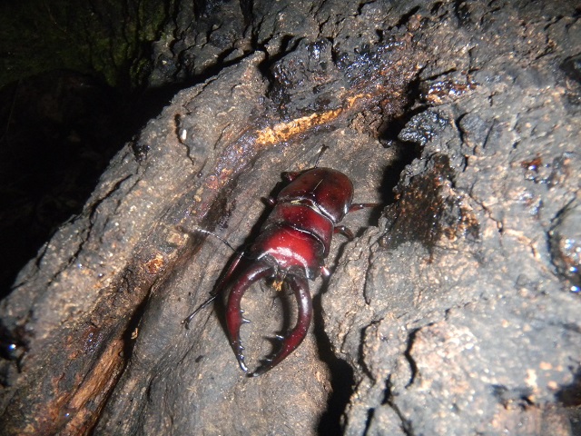 �m�R�M����