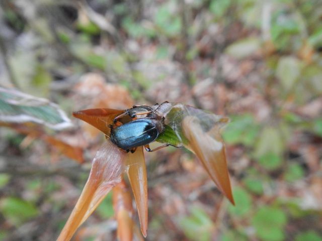 ���L�O�j�R�����y�A