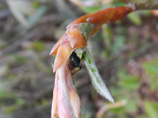 ���L�O�j�R�����y�A