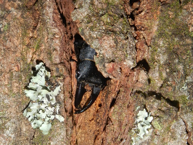 �q���^��