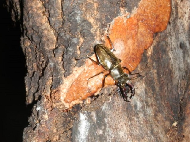 �~���}��