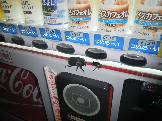 �J�u�g���ƃJ�i�u��