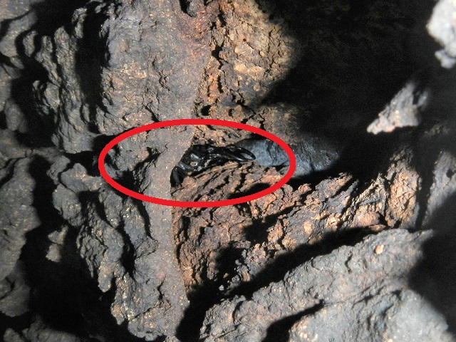 �q���^��