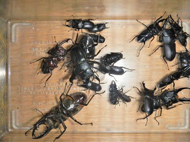 ���ɑS����